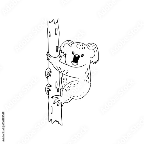 Hand drawn doodle of cute koala vector illustration isolated on white background. Koala sketch icon for infographic, website, print, banner, color book, pages. Save Australia concept photo