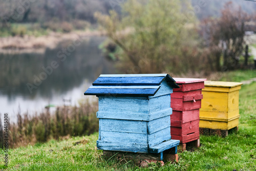 Multi-colored beehives on the river bank. Bee houses.