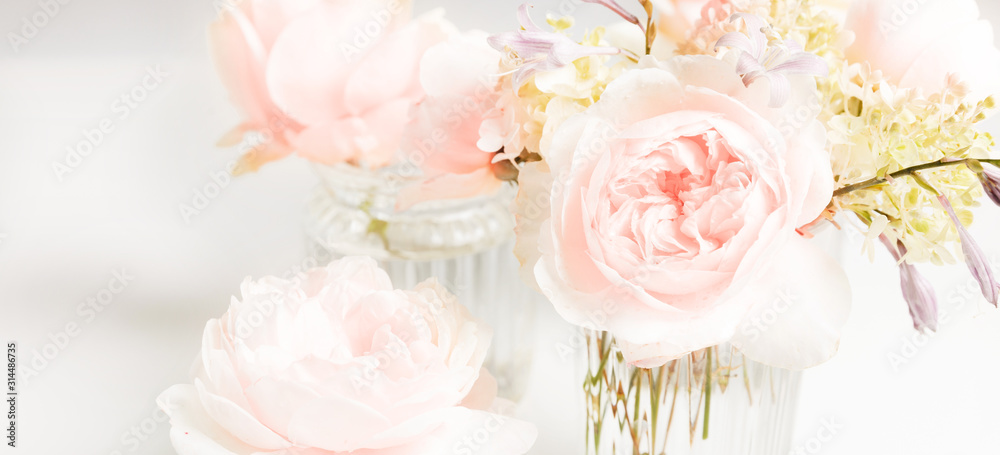 Romantic banner, delicate white roses flowers close-up. Fragrant crem pink petals