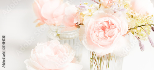 Romantic banner, delicate white roses flowers close-up. Fragrant crem pink petals