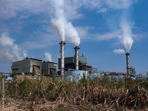 Sugar cane factory
