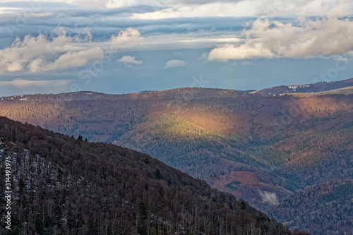 forêt des Vosges © Olympixel