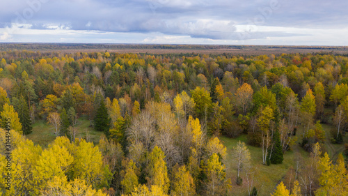 Aerial view over wooded meadow and forest land in autumn colors in Nedremaa, Pärnu county, Estonia