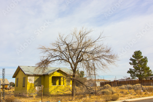 Abandoned One Story Home With Dead Tree