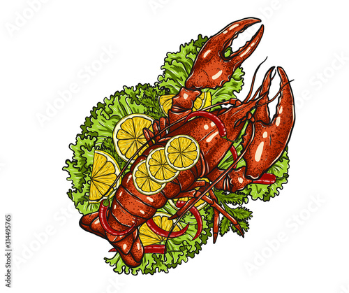 Lobster with lemon and vegetable on white background.boiled lobster vector art highly detailed in line art style.