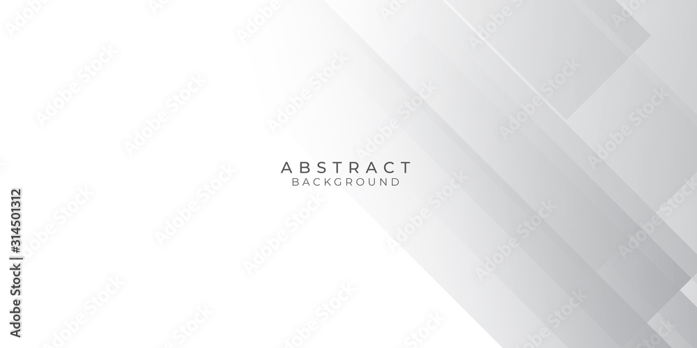 White Grey Silver Box Rectangle Abstract Background Vector Presentation Design White Grey Silver Box Rectangle Abstract Background Vector Presentation Design