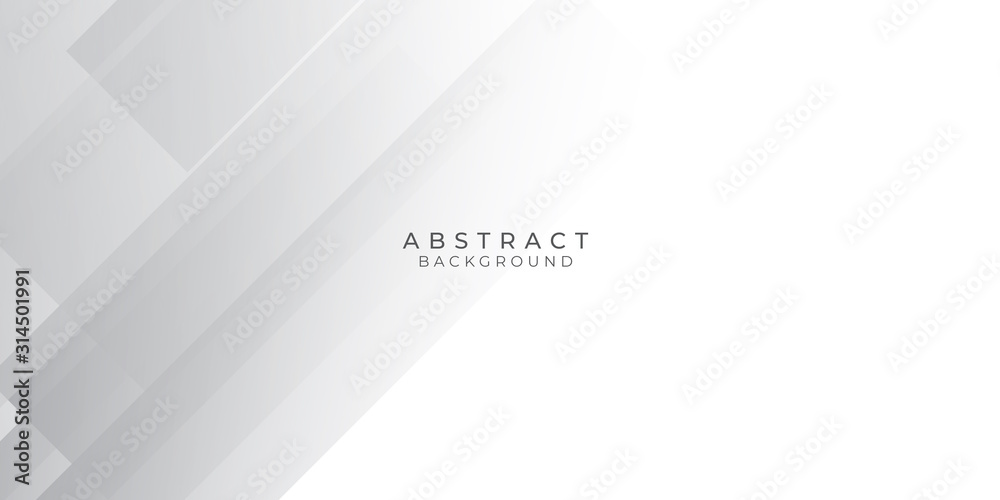 Obraz premium White Grey Silver Box Rectangle Abstract Background Vector Presentation Design