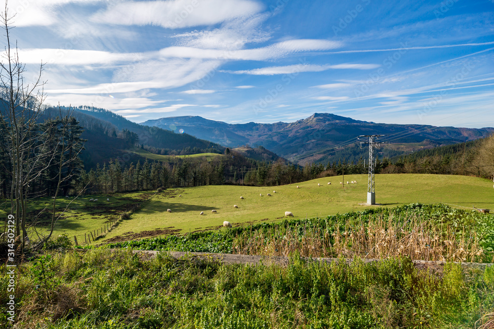green landscape of the Basque mountains