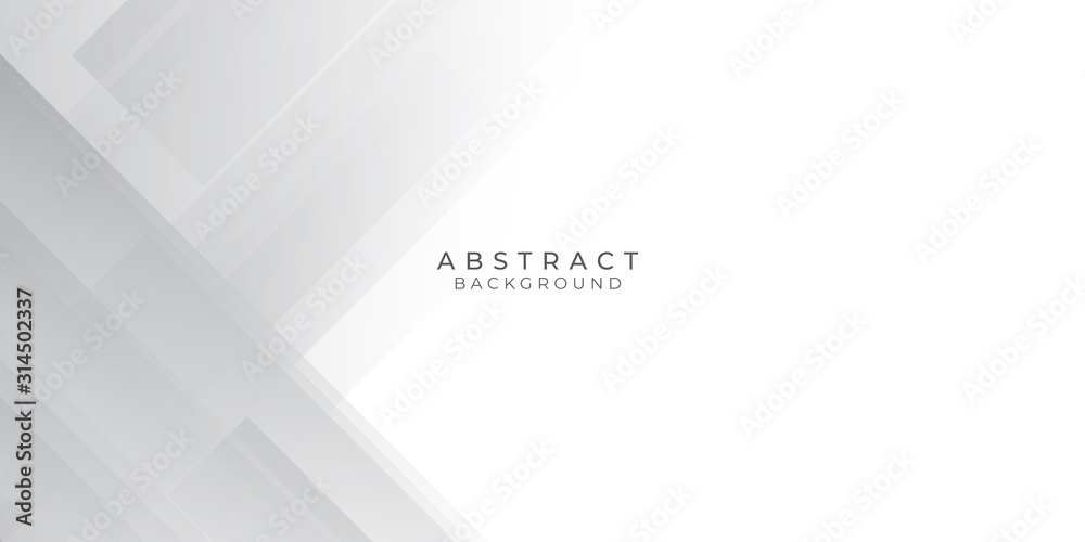 Obraz premium White Grey Silver Box Rectangle Abstract Background Vector Presentation Design