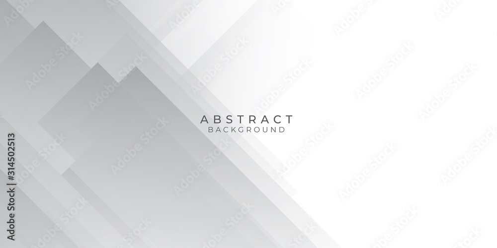 Obraz premium White Grey Silver Box Rectangle Abstract Background Vector Presentation Design