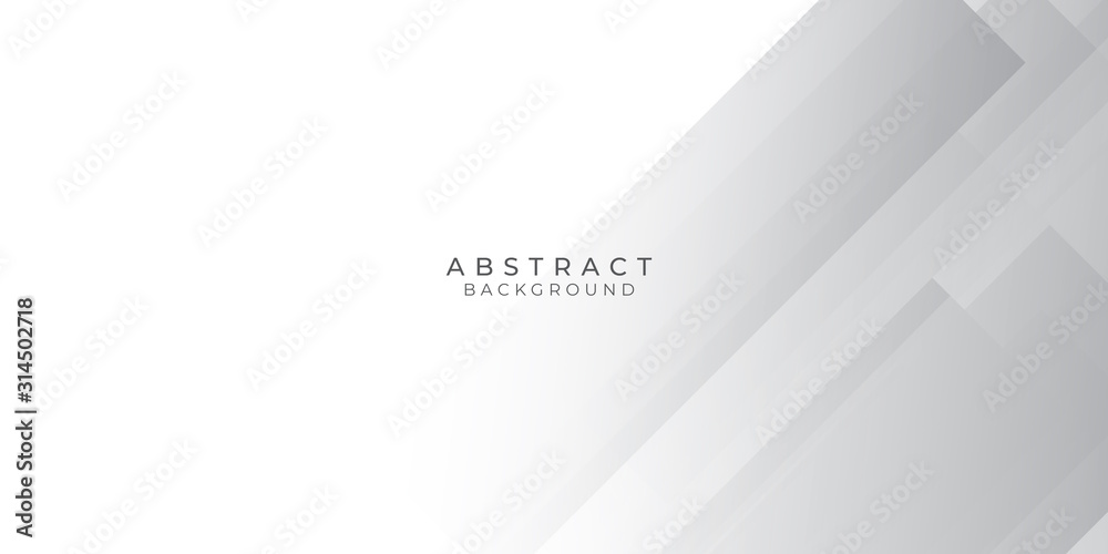 White Grey Silver Box Rectangle Abstract Background Vector Presentation Design White Grey Silver Box Rectangle Abstract Background Vector Presentation Design