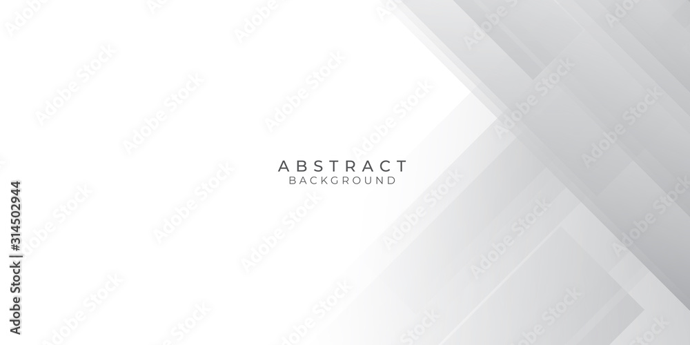 Obraz premium White Grey Silver Box Rectangle Abstract Background Vector Presentation Design