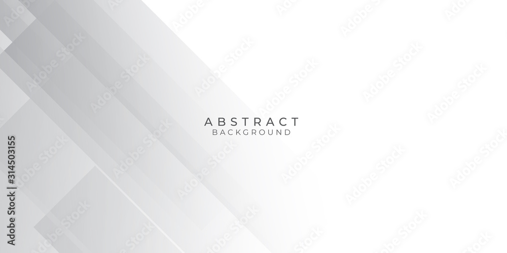 White Grey Silver Box Rectangle Abstract Background Vector Presentation Design White Grey Silver Box Rectangle Abstract Background Vector Presentation Design