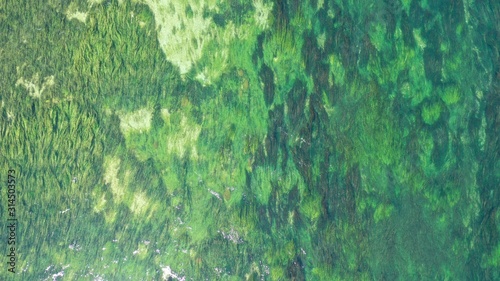Foto Aerial top down view of long waterplants under transparent clear turquoise water of river