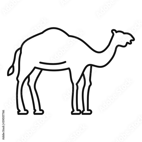 Egypt camel icon. Outline egypt camel vector icon for web design isolated on white background