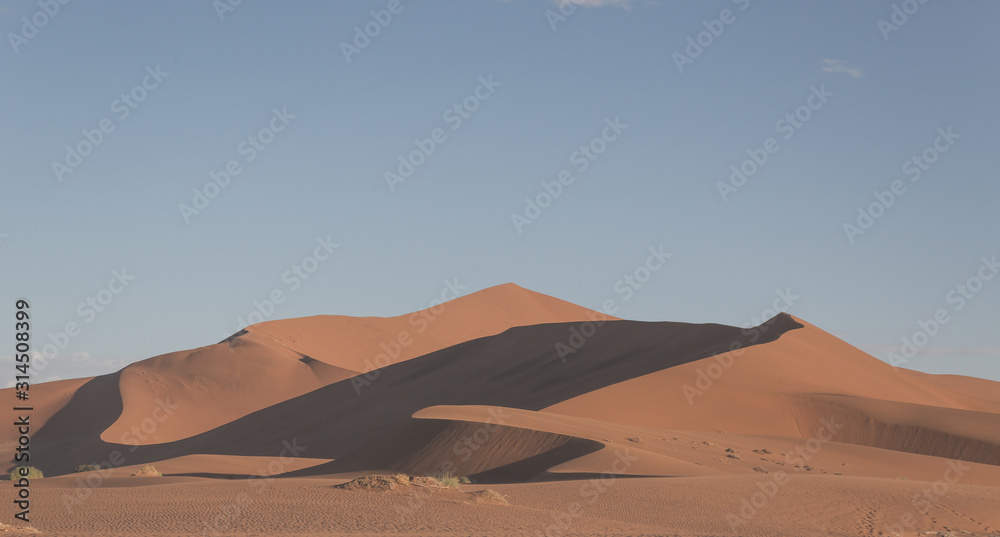 Dunes at the endless namib desert