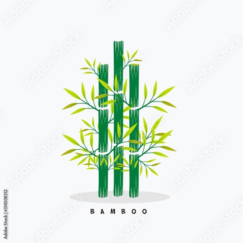 Bamboo tree design vector and illustration