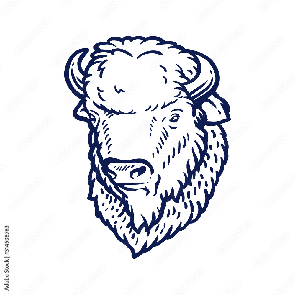 Obraz premium bison, wood bison vector icon