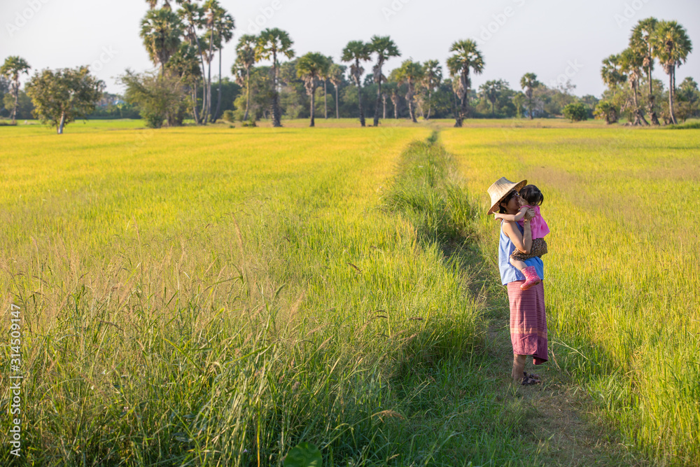 Mother and children of farmers are enjoying the fields under the evening sun. Mother and children of farmers are enjoying the fields under the evening sun.