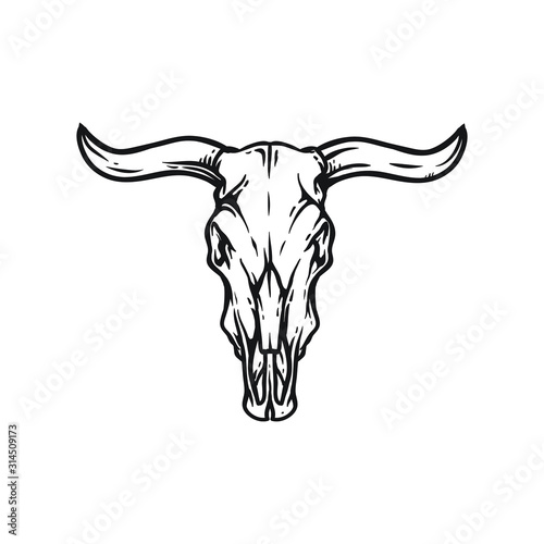 Buffalo or american bison skull. American Indians dead cow head vector illustration