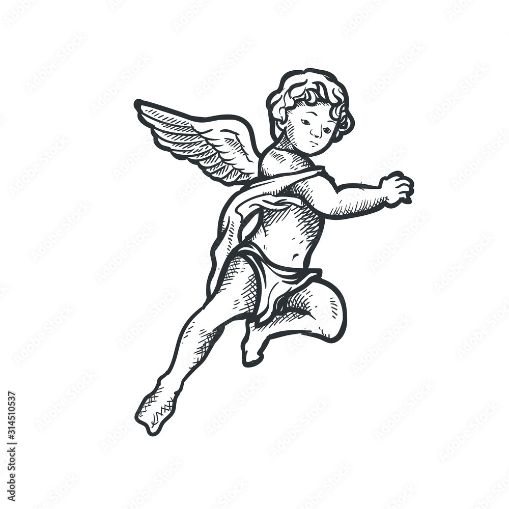 Fototapeta Angel cupid cherub vector drawing