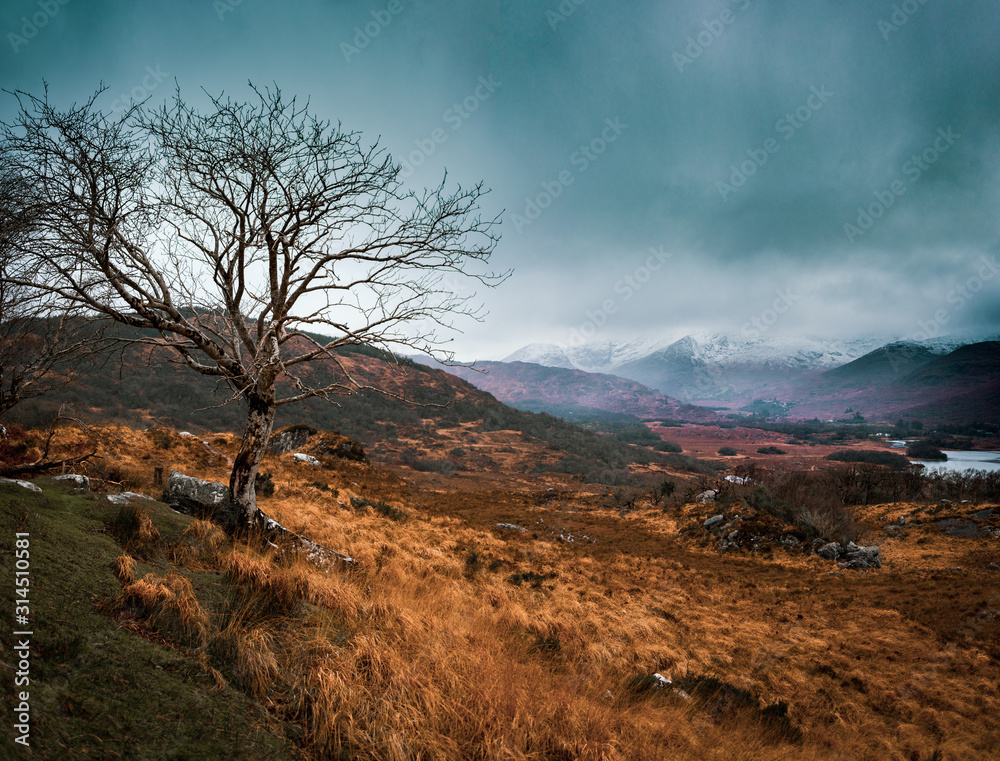 Lady's View - Kerry Lady's View - Kerry