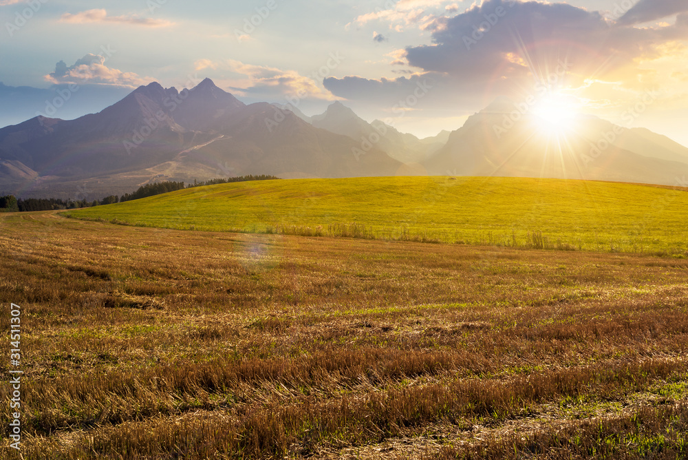 rural landscape of slovakia in summer at sunset. empty wheat field in august. high tatras mountain ridge in the distance in evening light. sunny weather with clouds on the sky