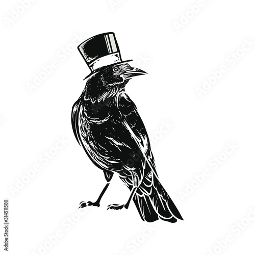  black raven crow bird vector