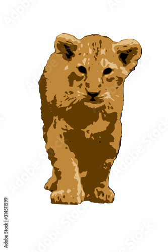 lion cub vector
