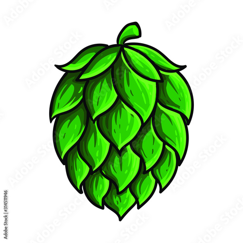 Beer hop brewing vector