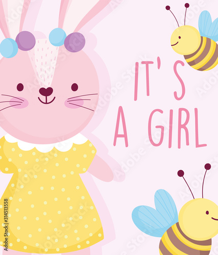 boy or girl, gender reveal cute rabbit with dotted dress bees card