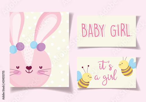 boy or girl, gender reveal its a girl cute rabbit bees greeting card