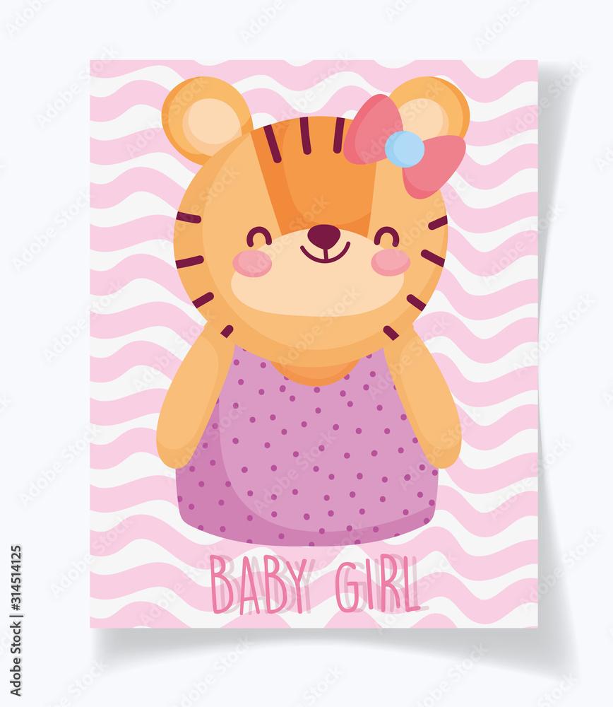 boy or girl, gender reveal its a girl cyte tiger card boy or girl, gender reveal its a girl cyte tiger card