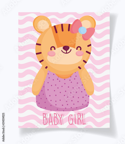 boy or girl, gender reveal its a girl cyte tiger card photo