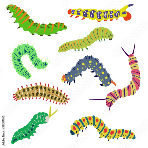 A set of isolated vector bright caterpillars drawn by hand. The larva of insects, butterflies, moth. Editable illustration on a white background