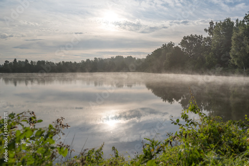 reflections of the sun and clouds in a misty lake with some green in the foreground and a forest in the background