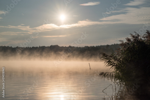 sunrise with fog over a lake and some bushes in the forground
