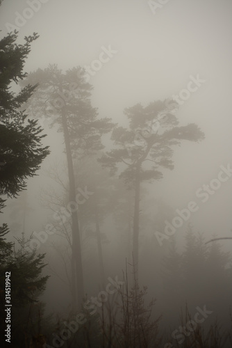 Foggy landscape in the Swiss alps