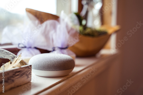 voice controlled smart speaker in a interior home environment. Smart home ai concept