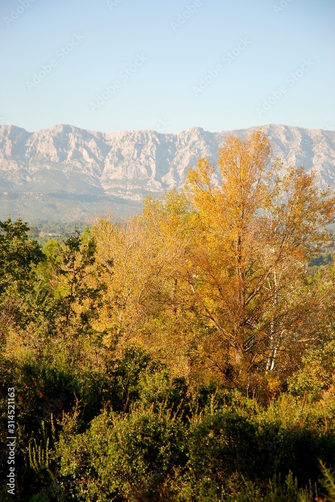 the Sainte Victoire mountain seen from Trets in Provence the Sainte Victoire mountain seen from Trets in Provence