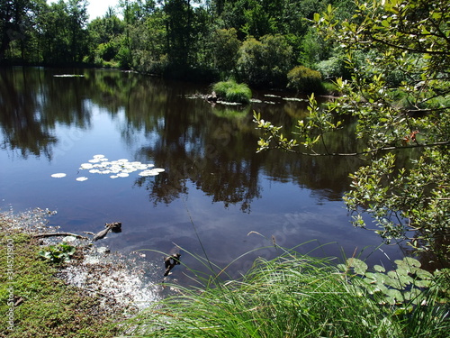 Edge of the Seugne in Jonzac photo