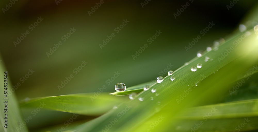 Gouttes d'eau Gouttes d'eau