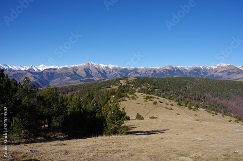 crêtes de pelouse d'altitude de montgane en vallespir altiplano