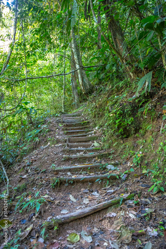 Trail of the Cerro Azul Meambar National Park  Panacam  on Lake Yojoa. Honduras