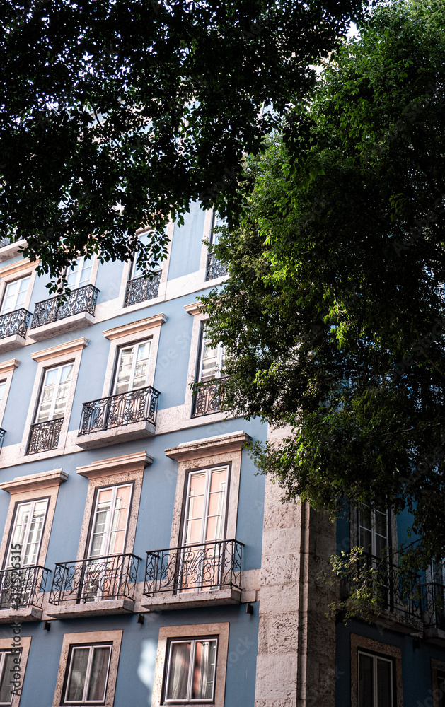 Naklejka premium View of traditional Portuguese apartments from a green garden. Taken in Lisbon in summer.