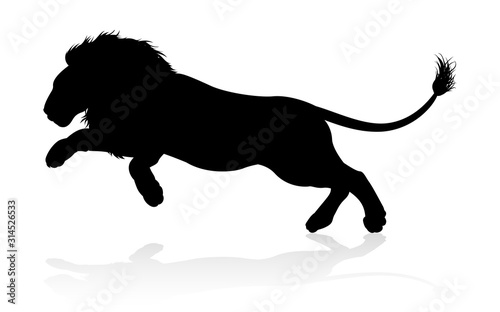 A male lion safari animal in silhouette