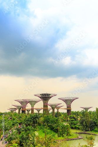 SINGAPORE-MARCH 6,2016 : Day view of The Supertree Grove at Gardens by the Bay on MARCH 6,2016 in Singapore. Spanning 101 hectares, and five-minute walk from Bayfront MRT Station. photo