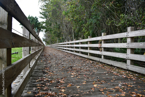 Side rails with Boardwalk with leaves