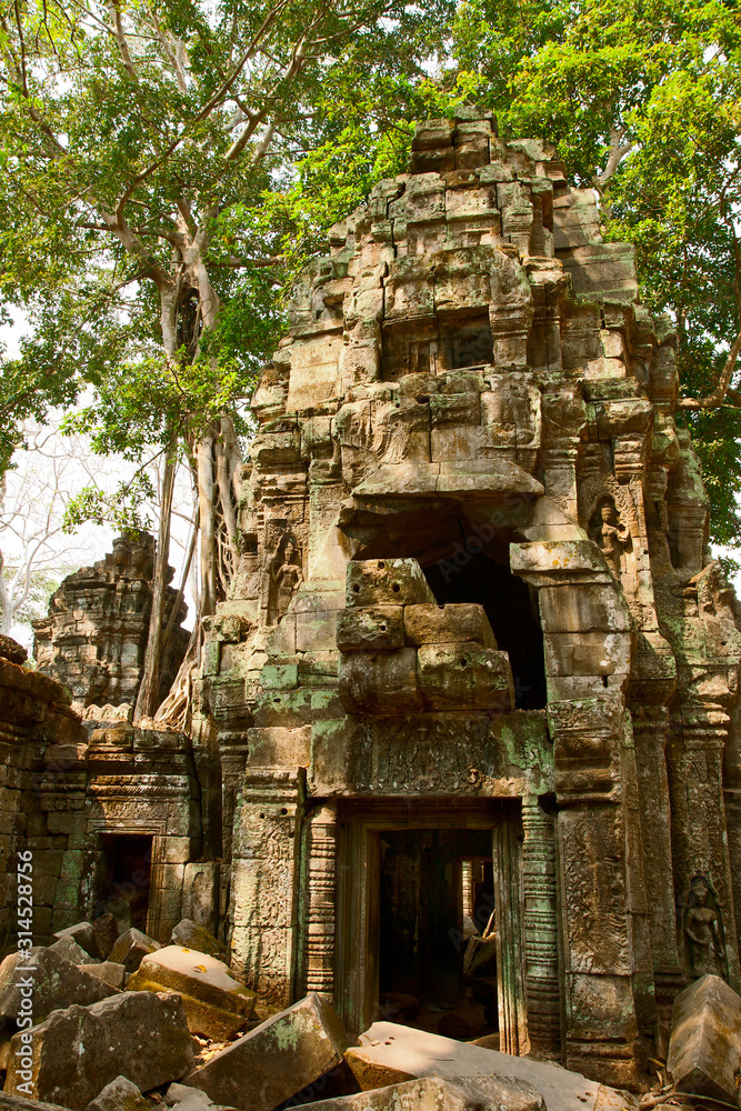 Khmer temple Ta Prohm