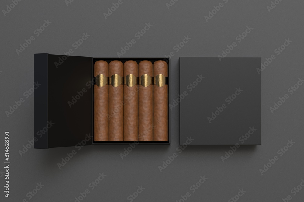 Blank cigars in hard paper box template for mock up, 3d render ...